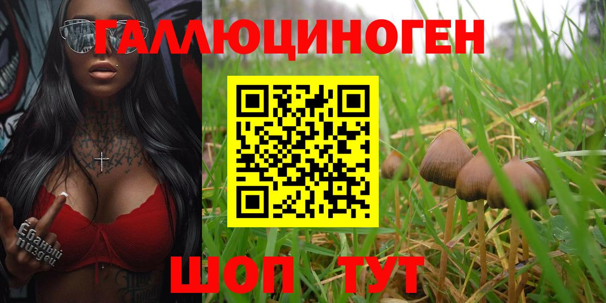 Псилоцибиновые грибы мухоморы  Вход с VPN  Псилоцибиновые грибы Cubensis  Сланцы 